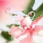 Lancome O Over The Top_4